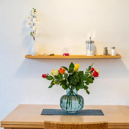 Apartment Am Paradies Baden-Baden
